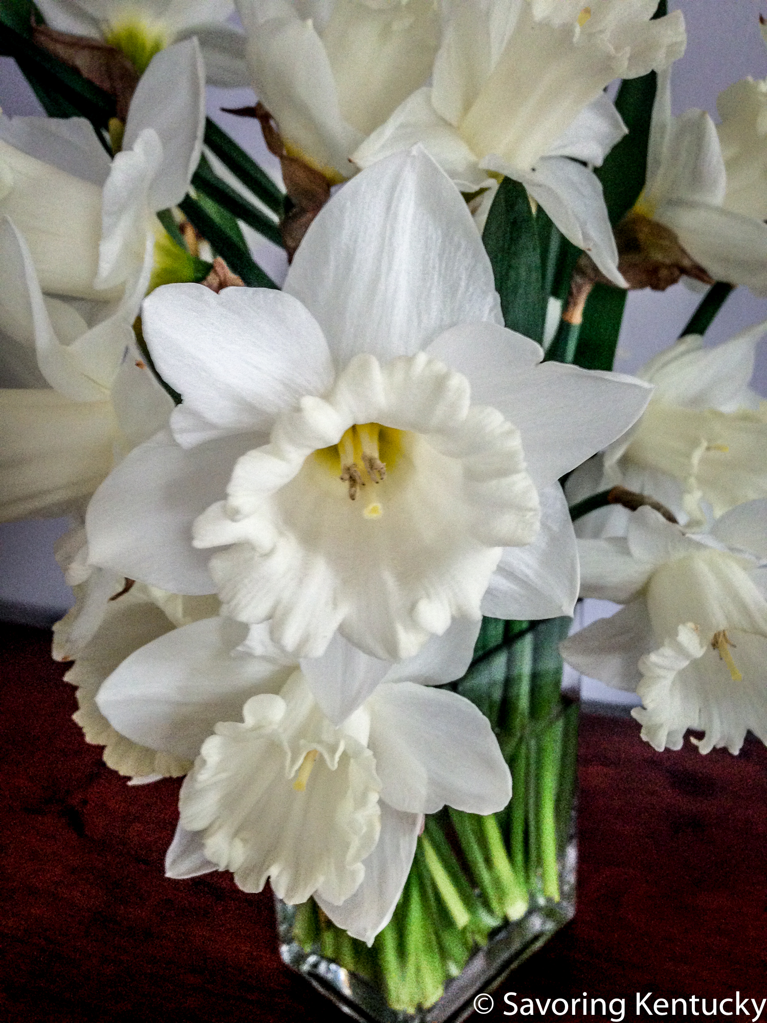 Mount Hood , too, bloomed more than ever this spring. 