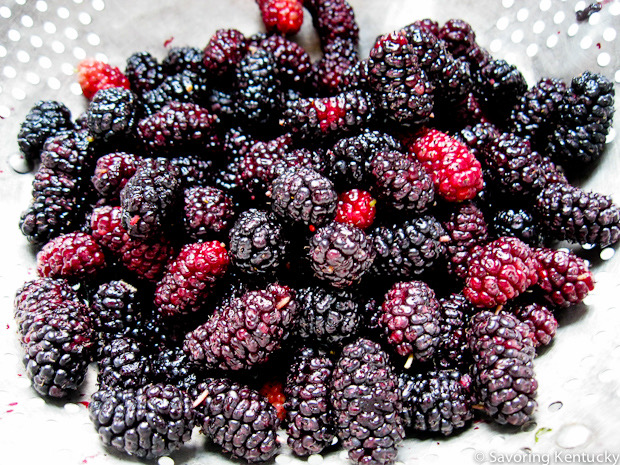 Ahhhh, mulberries! You delight us.