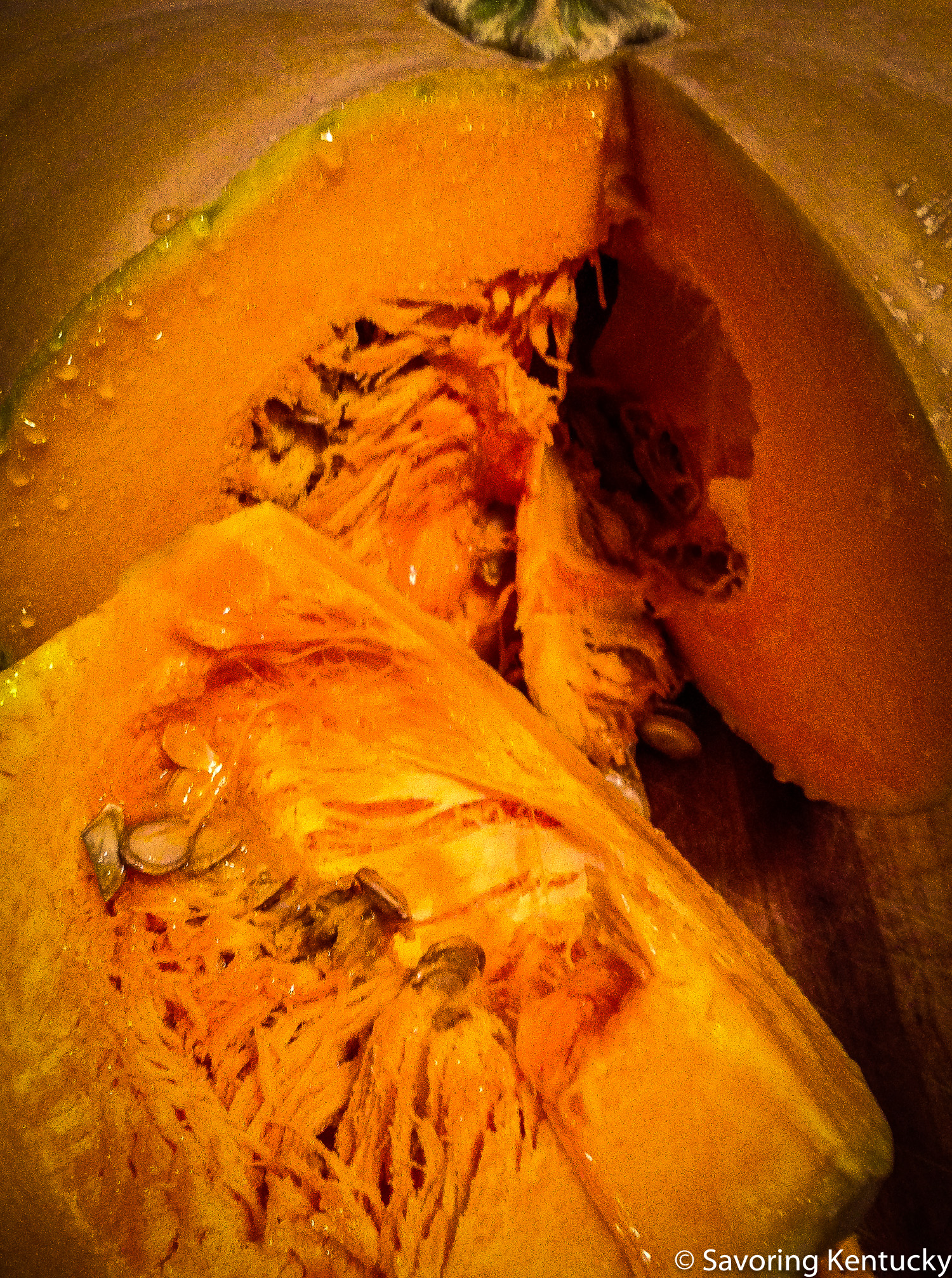 Winter squash, inside and out