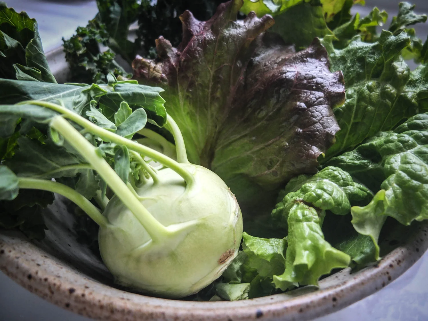 Kentucky spring greens and kohl rabi