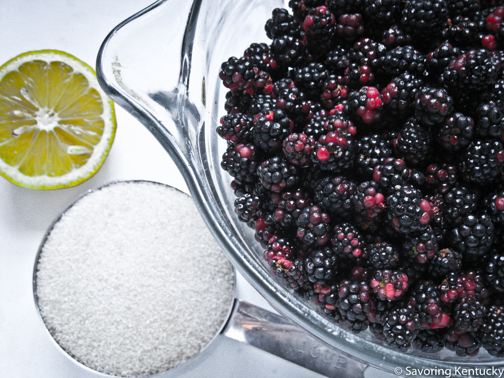 blackberries.jpeg