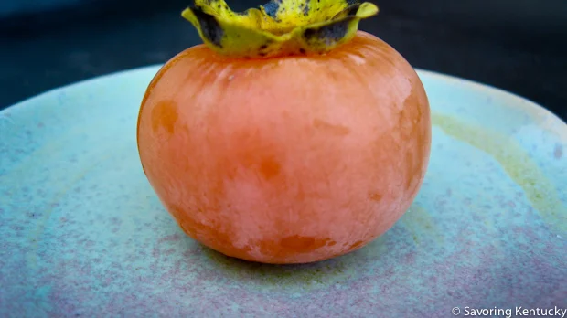 120916_persimmon_002.jpg