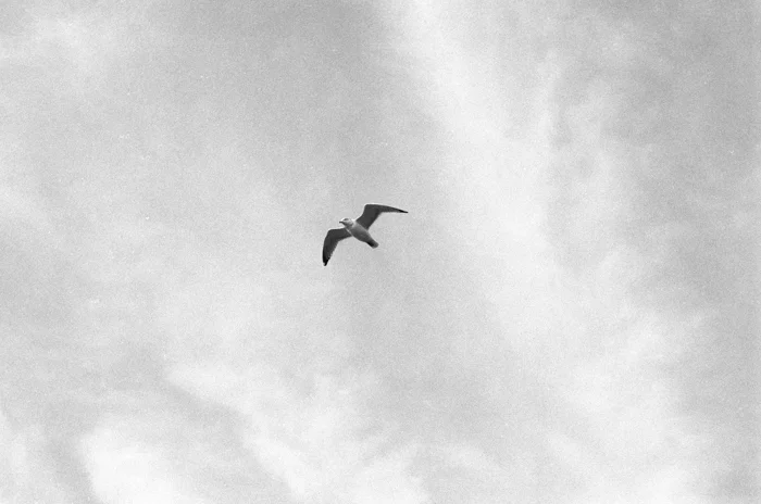 Untitled 7_5904 x 4000.jpg