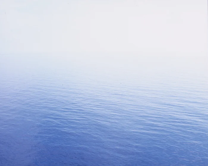 Untitled 17_11016 x 8964.jpg