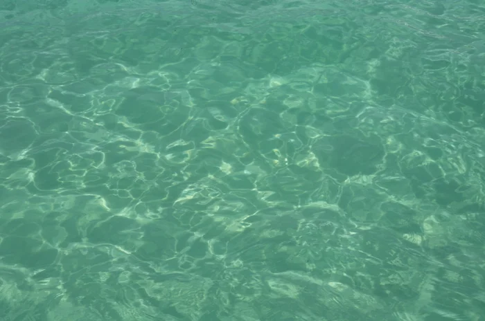 Untitled 21_5904 x 4000.jpg