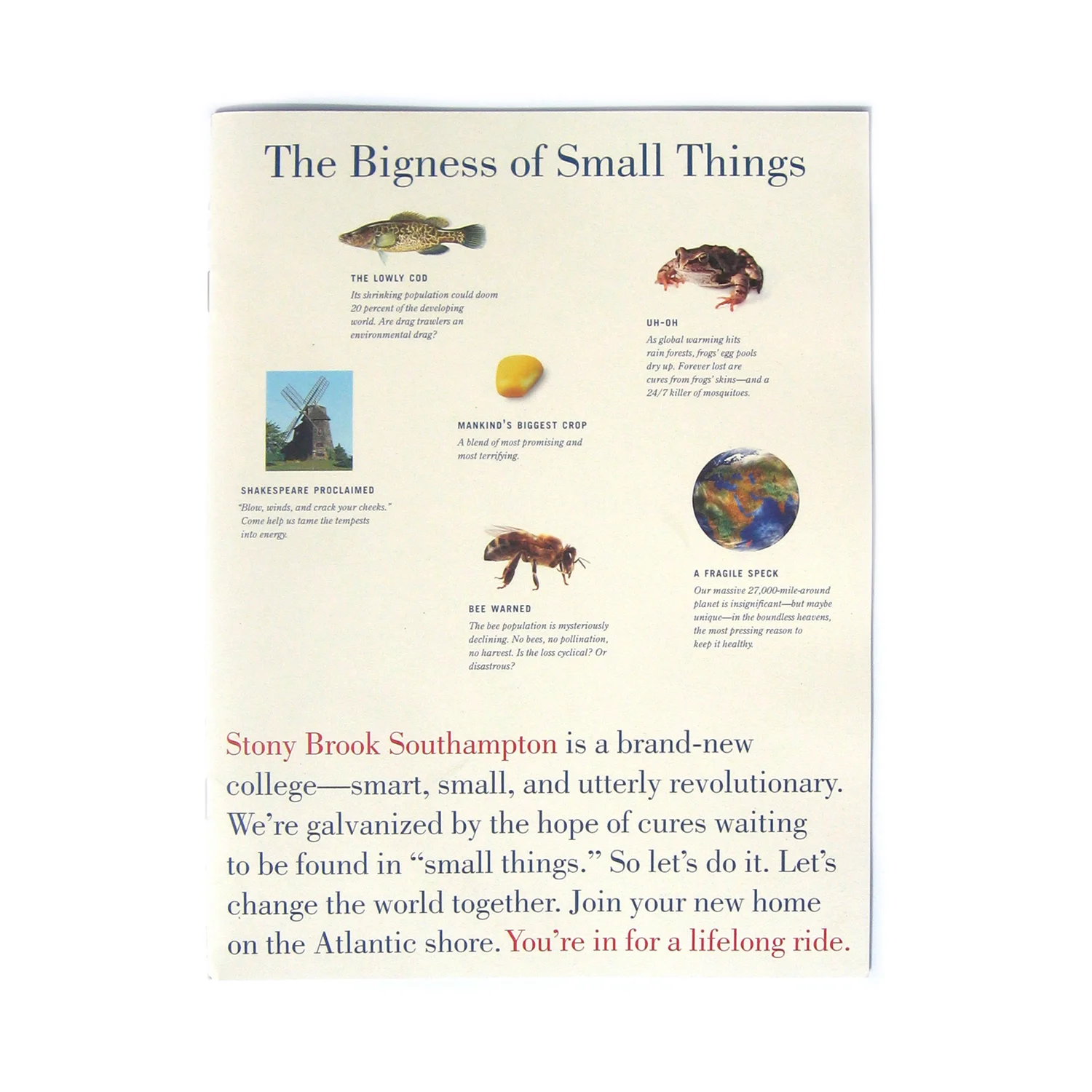 stonybrooksouthamptoncover.jpg