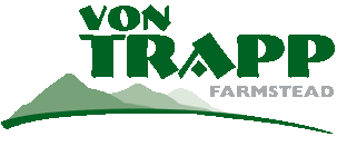 vtf-banner-logo9.png