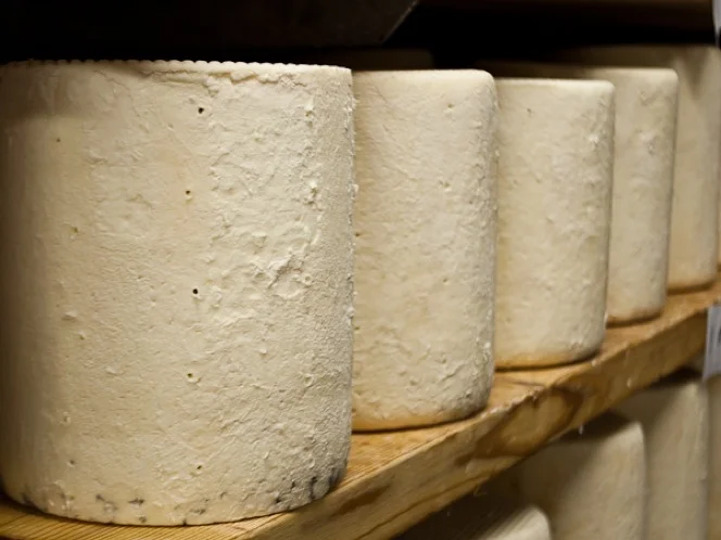 Bayley Hazen Blue Jasper Hill Farm