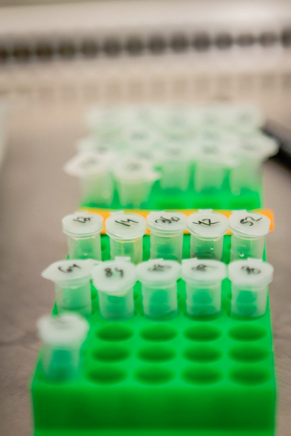 vials.png