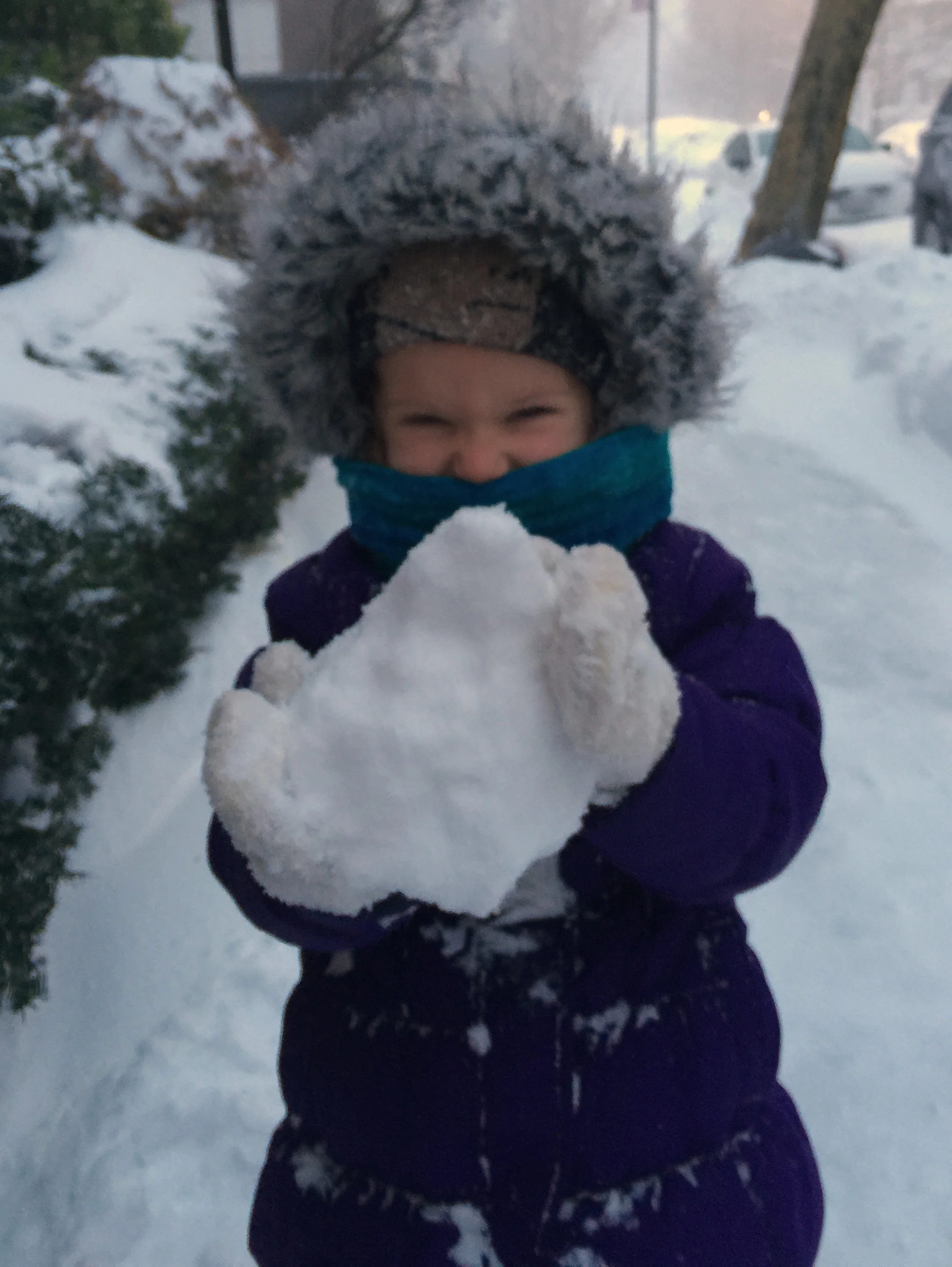blanket amphitheaters and post-blizzard fun