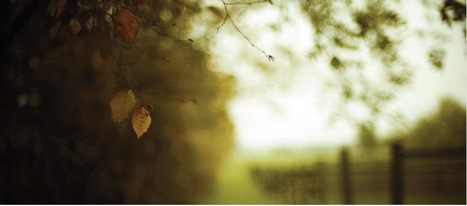 Nottingham Picture.PNG