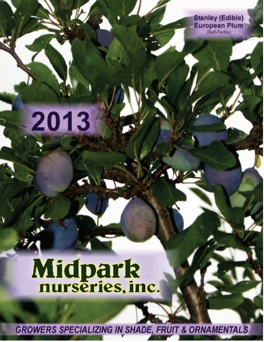 2013_Catalogue_Cover.jpg