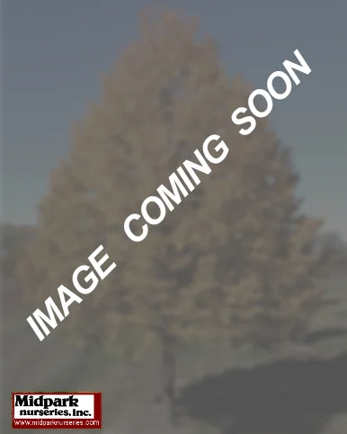 unavailable.jpg