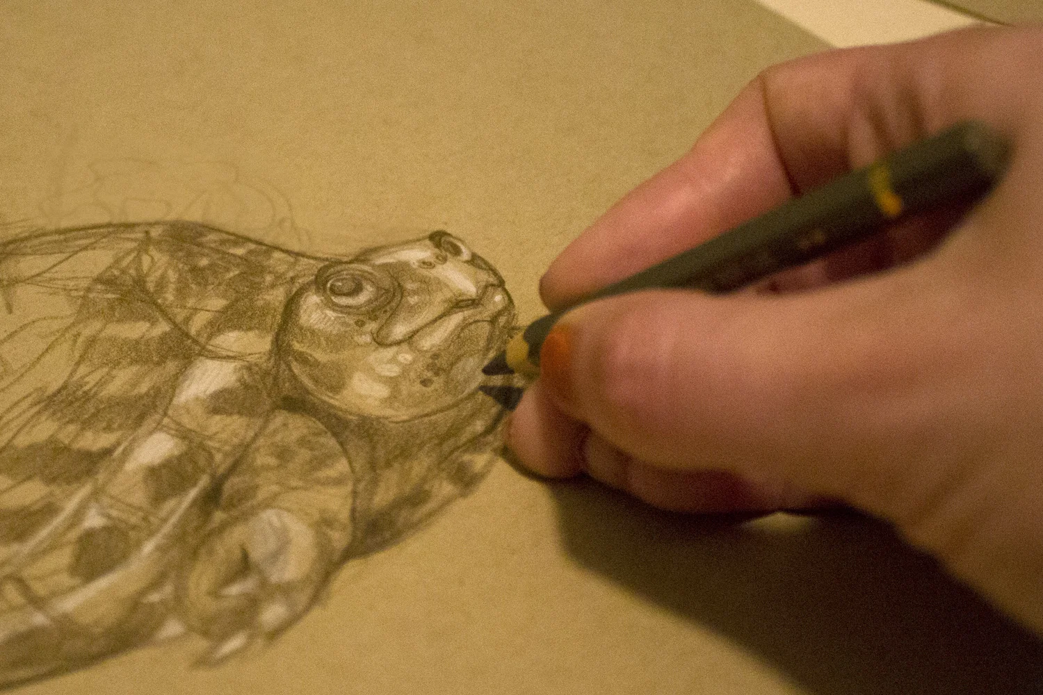 Only a little bit of pencil left!