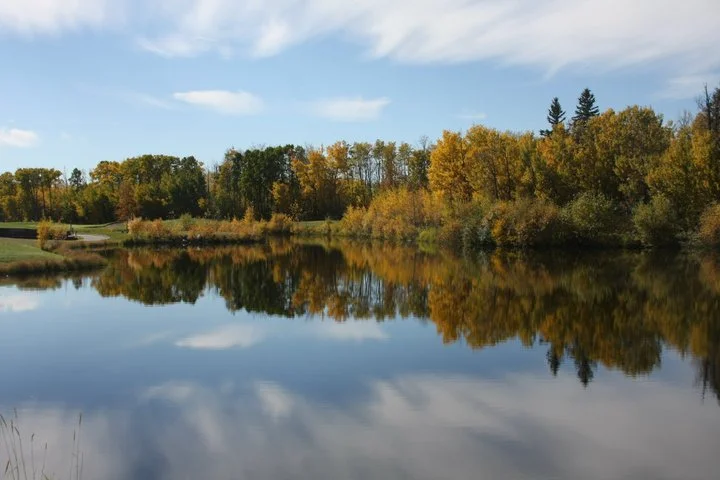 The Consiglieri- Introduction