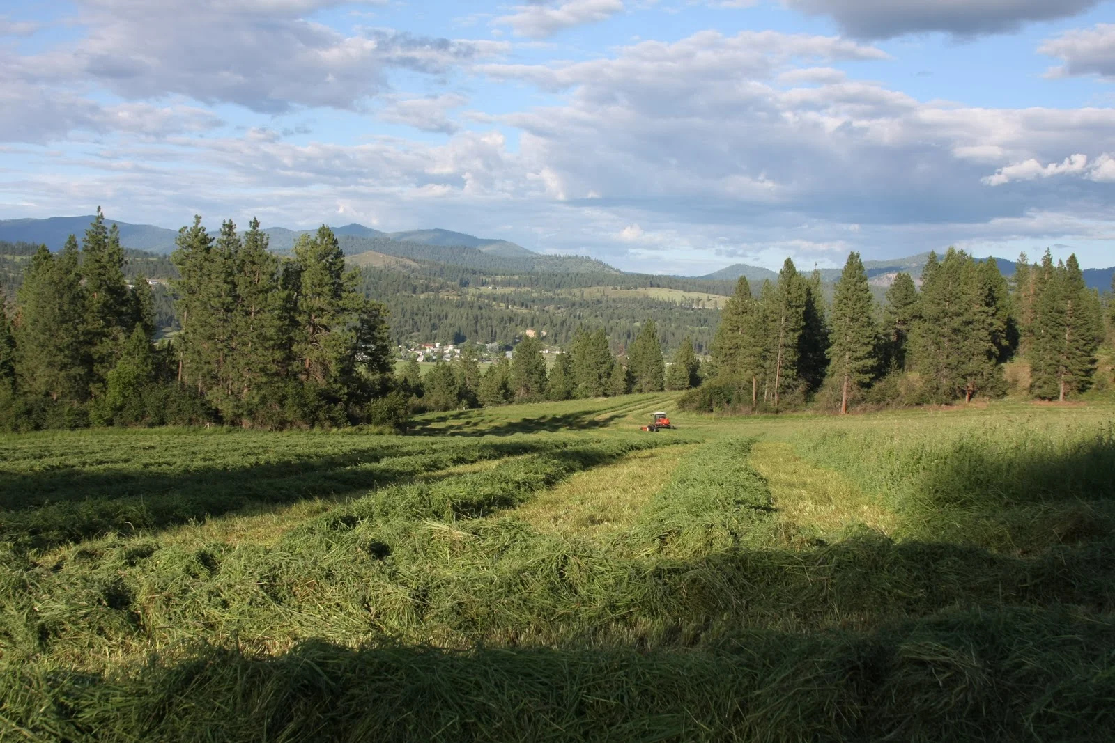 The Consiglieri-The Farmer
