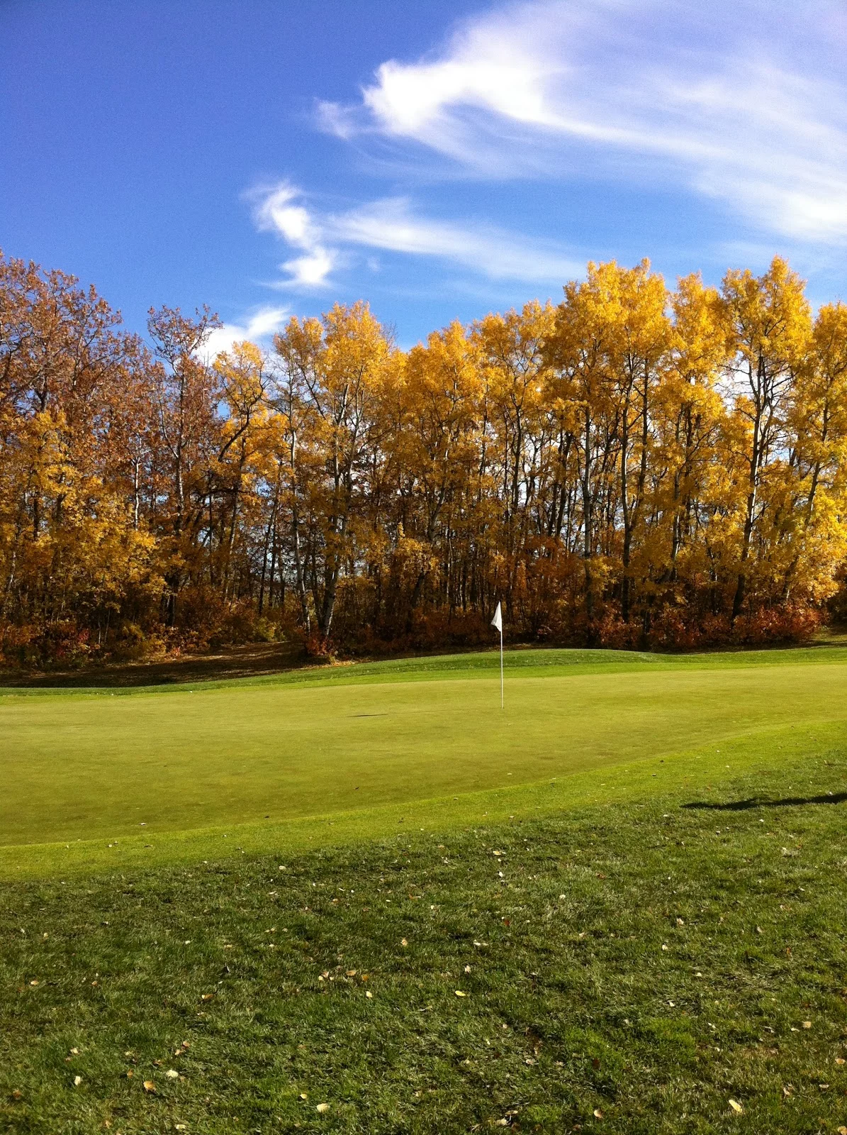 The Consiglieri-The Chauffeur