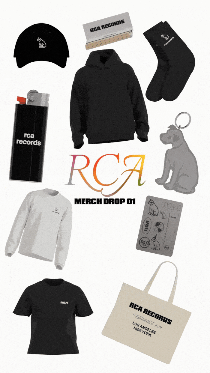 Collection of RCA Records merchandise including a black beanie with logo, a box of RCA Records branded tissues, black socks with logo, a black hoodie, a silver keychain with dog figure, a white sweatshirt with logo, a black t-shirt with logo, a tote bag with branding, a pack of stickers, and a lighter.