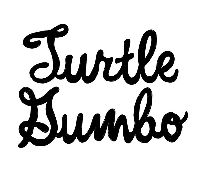 Turtle Gumbo title.jpg