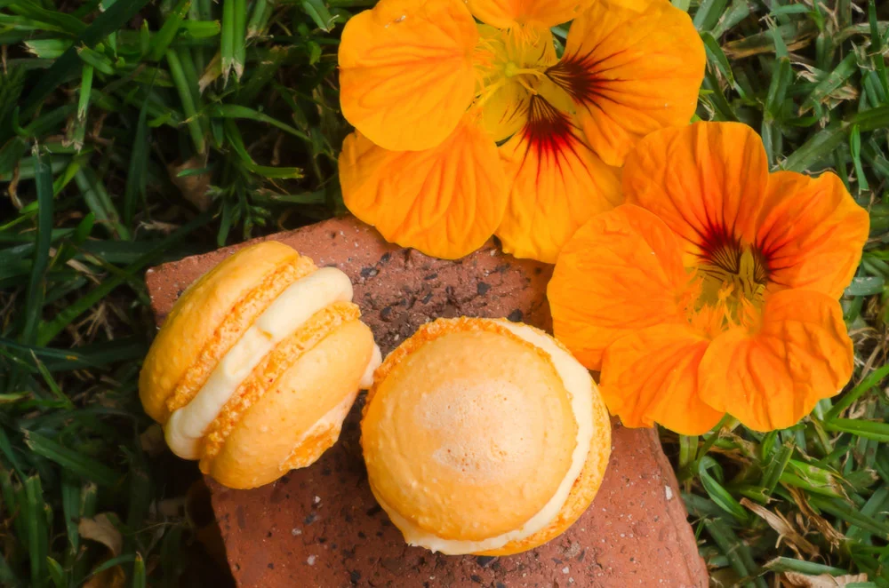 Orange Macaroons