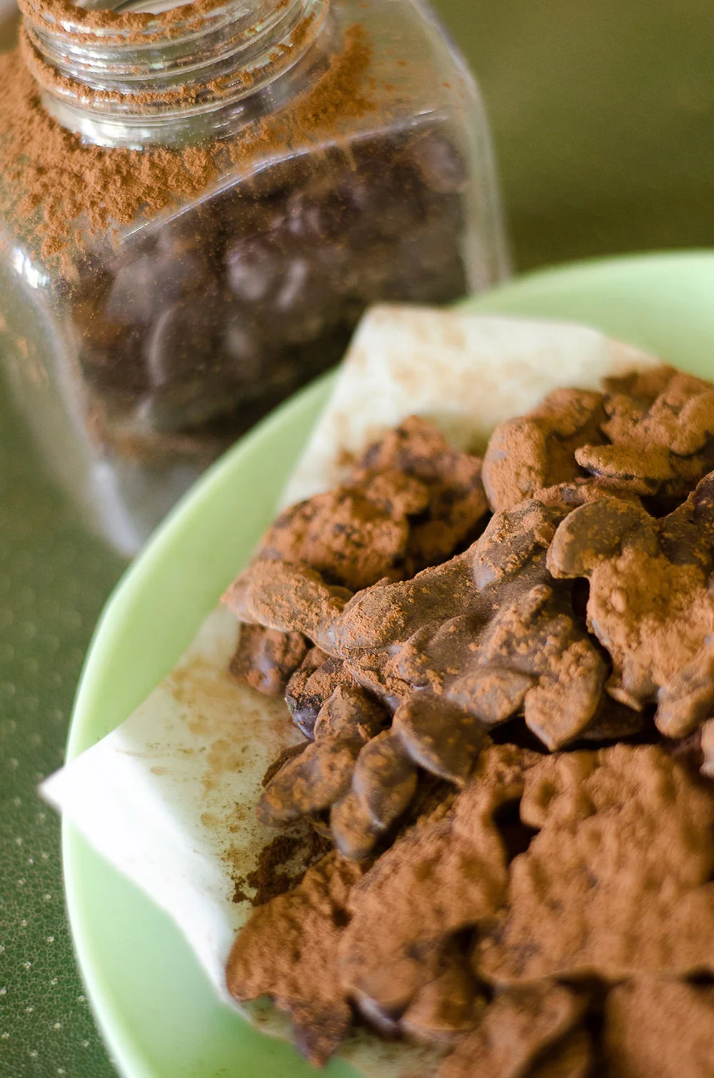 Chocolate Coated Pumpkin Seeds