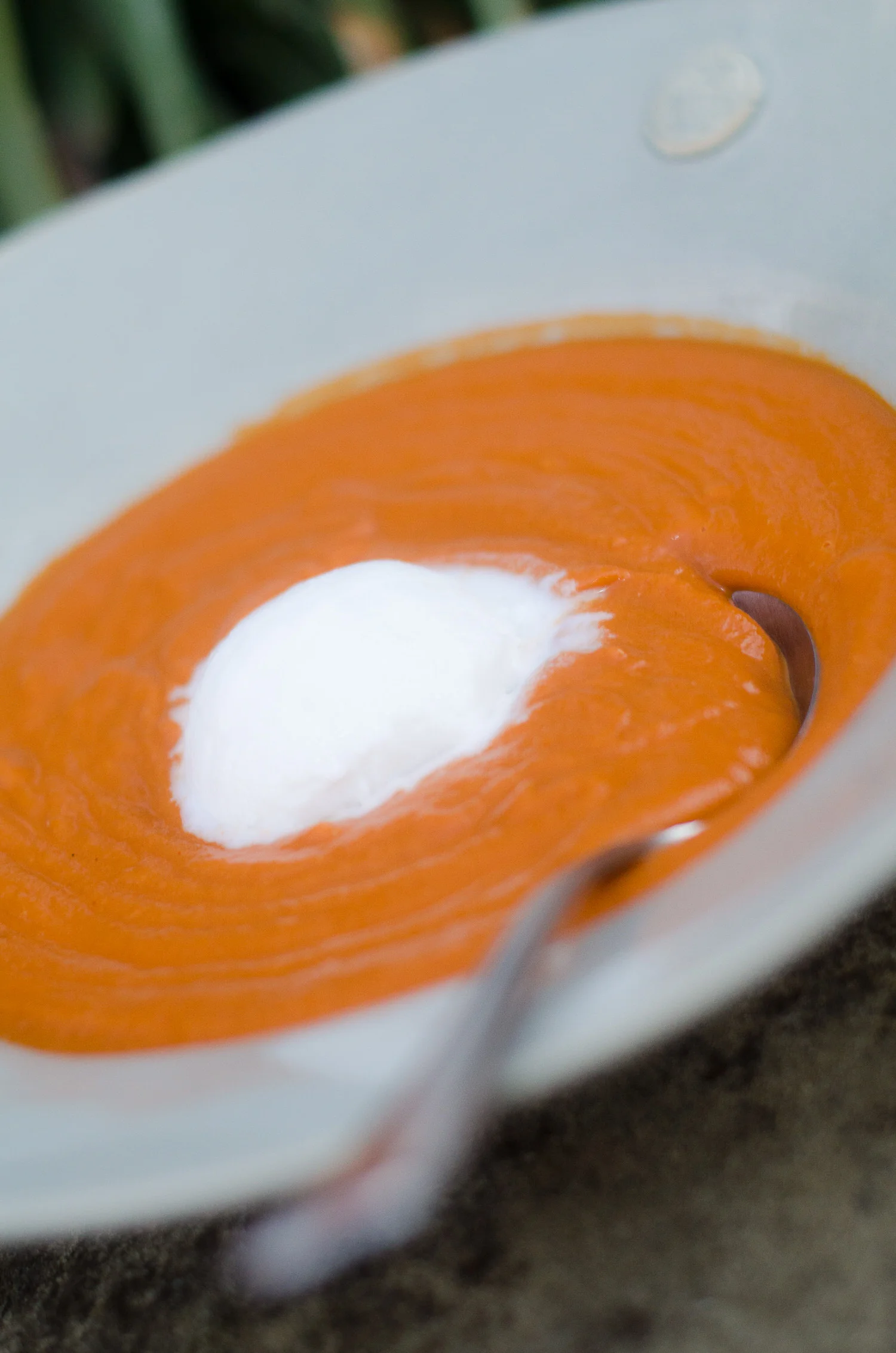 Tomato Soup with Coconut Sorbet