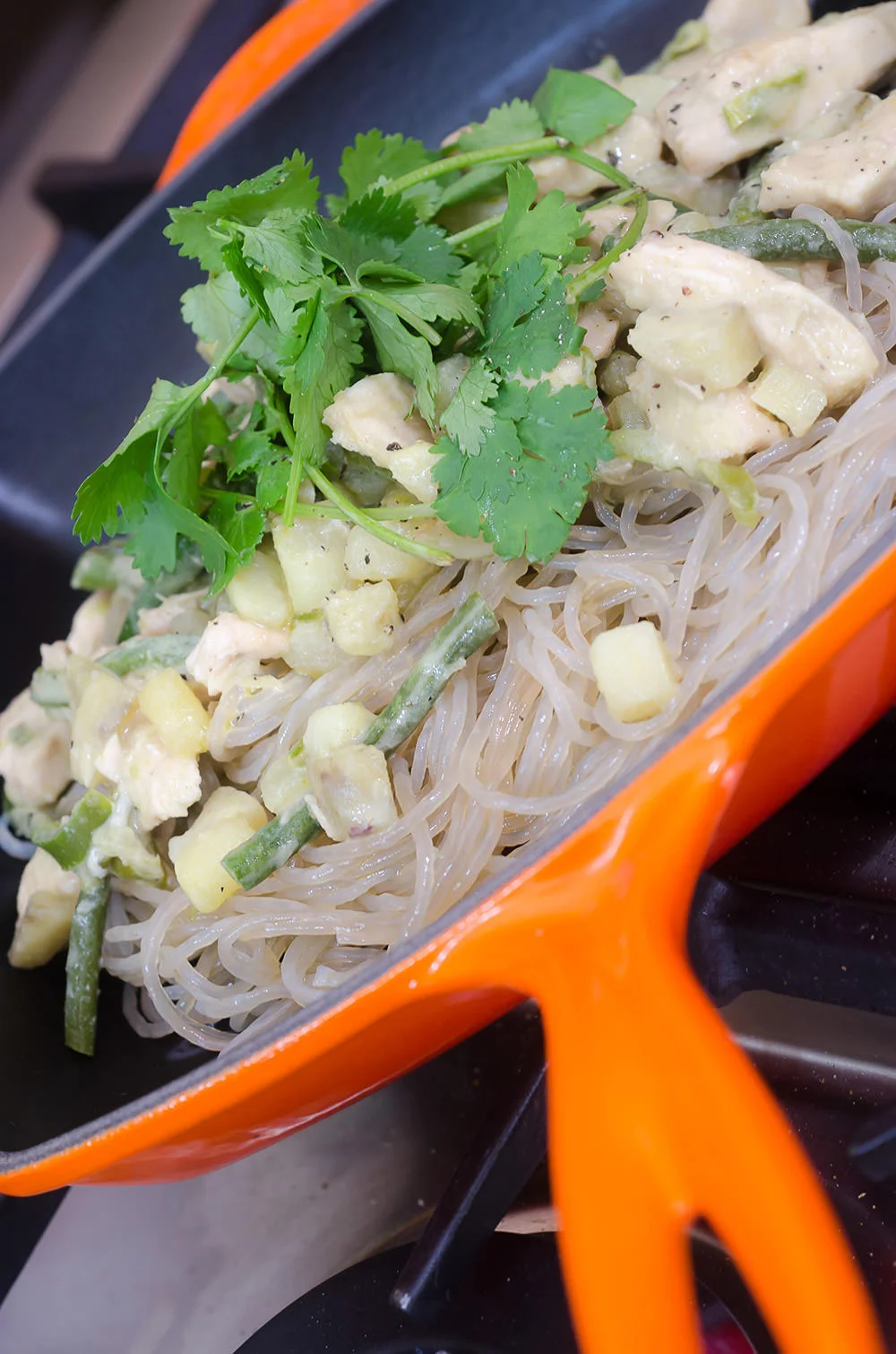 Johns' Green Chicken Thai Curry Recipe