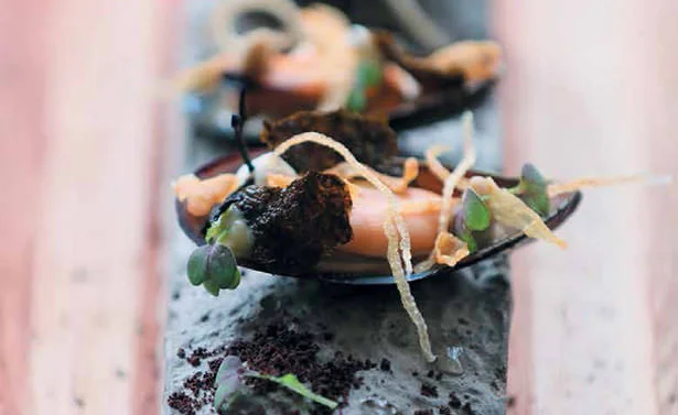 Mussel Shell