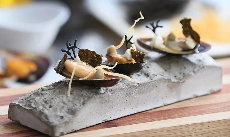 Seaside Mussel Shell with Memories