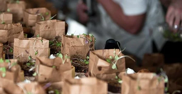 Goodie Bags at Jackie Cameron Wedding