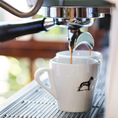 Terbadore Coffee