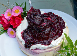 Aimée Hohls' Cheesecake with Berry Coulis Recipe — Jackie Cameron ...