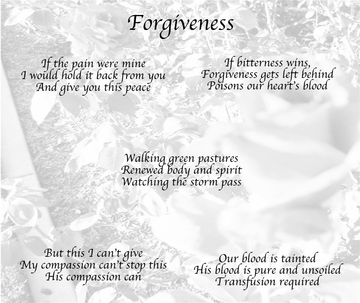 Haiku of Forgiveness