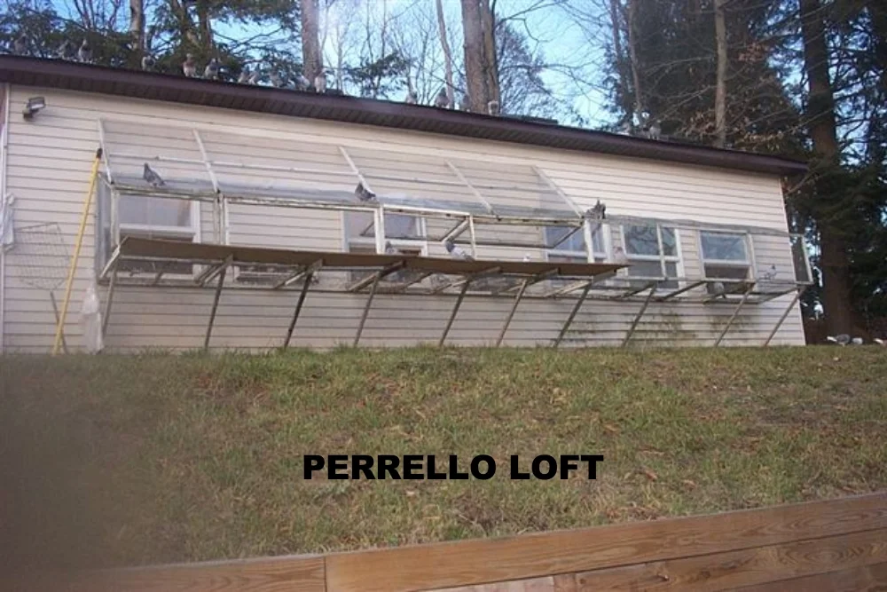 perrello loft