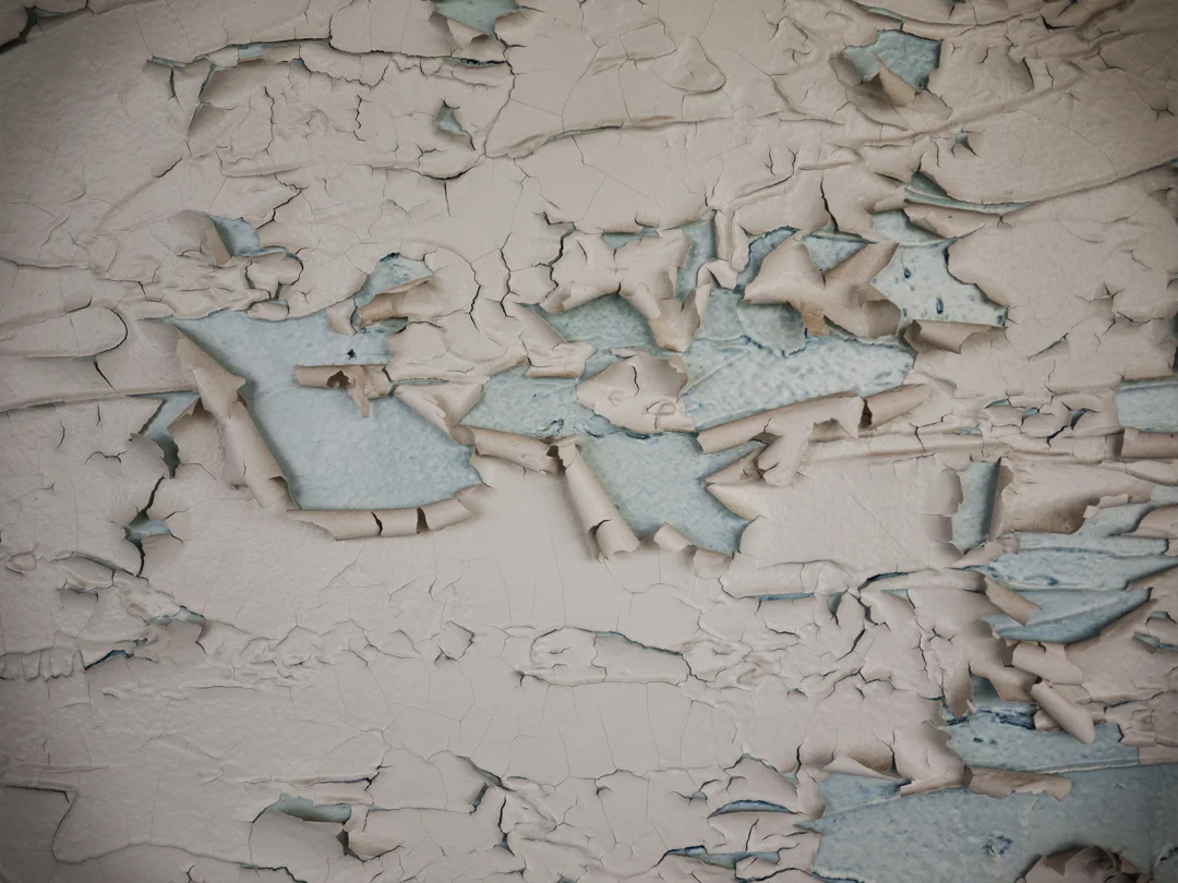 Topographical Wall