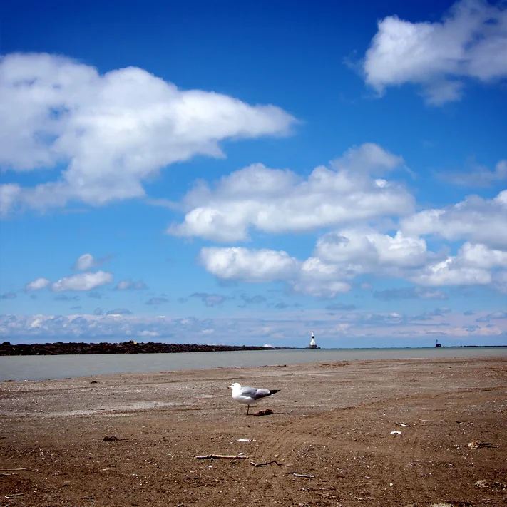 Conneaut - Lake Erie Wind and Sun Co-op