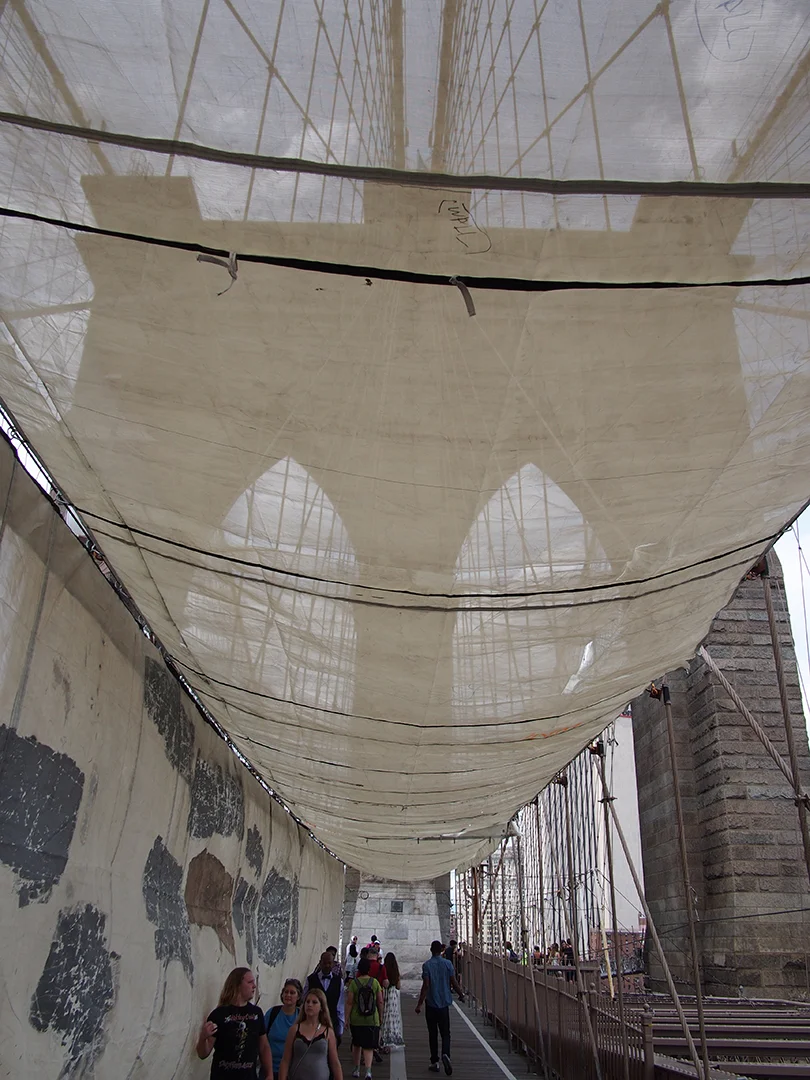 Gauze Bridge