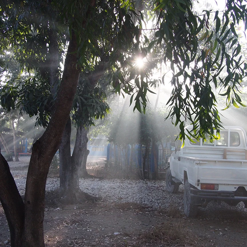 Morning Light