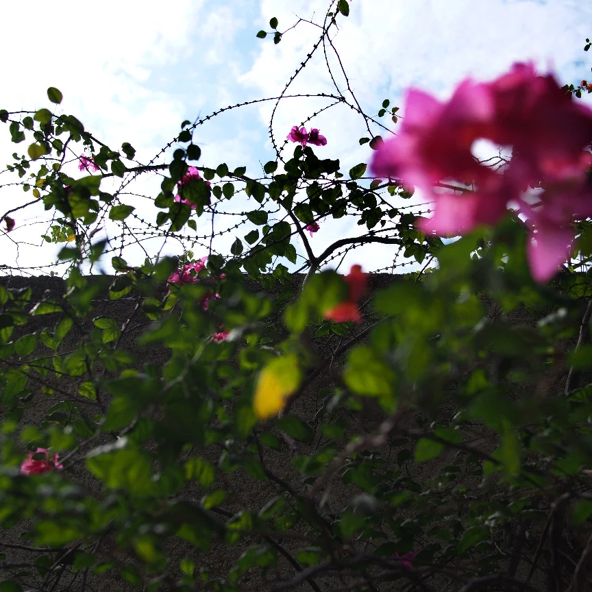 Hazy Light - Our time in Port-au-Prince