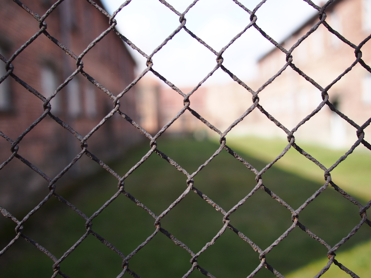 Fences. Everywhere, fences.