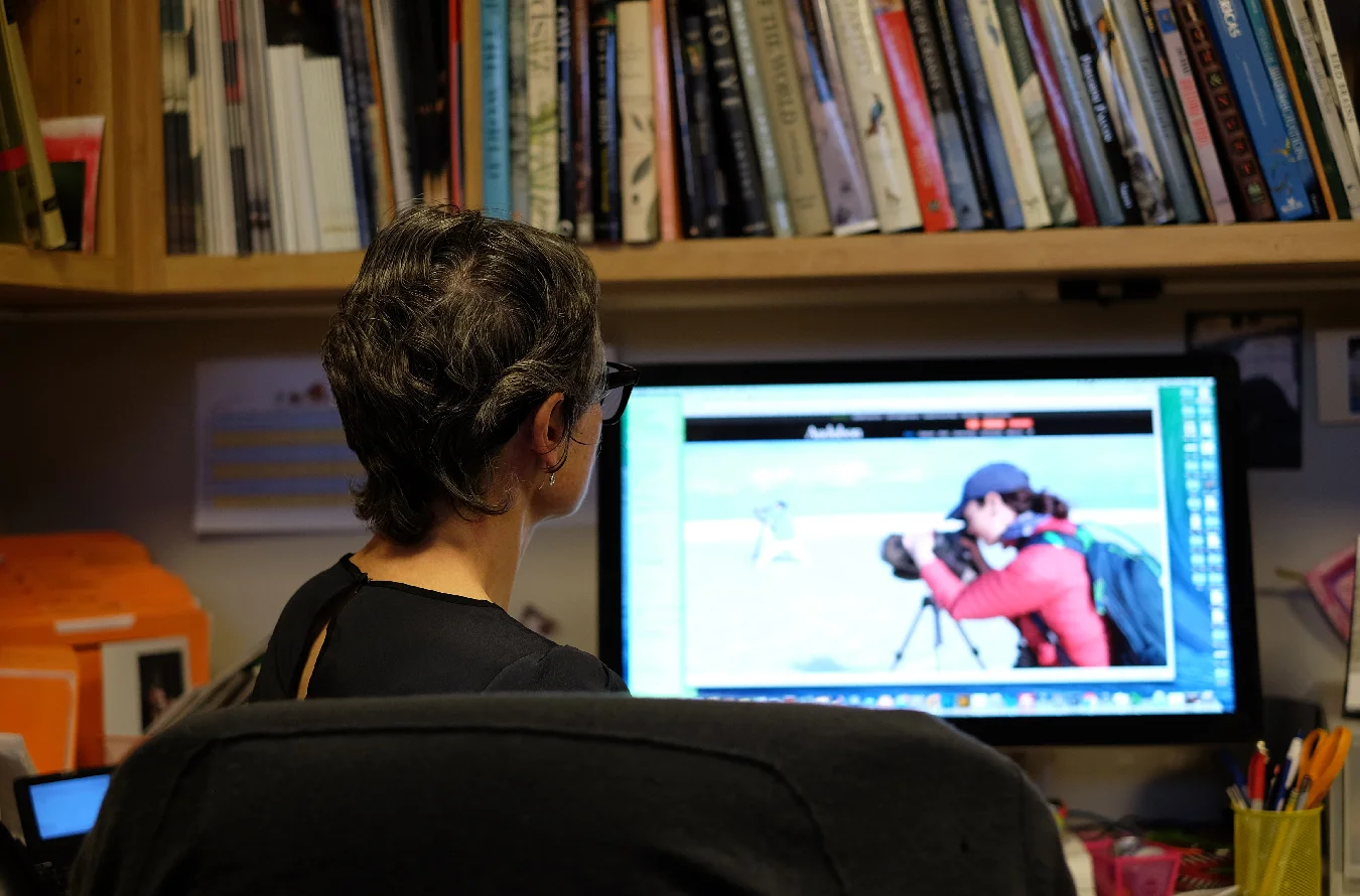 Audubon is a leader in research, conservation and education about avian species.