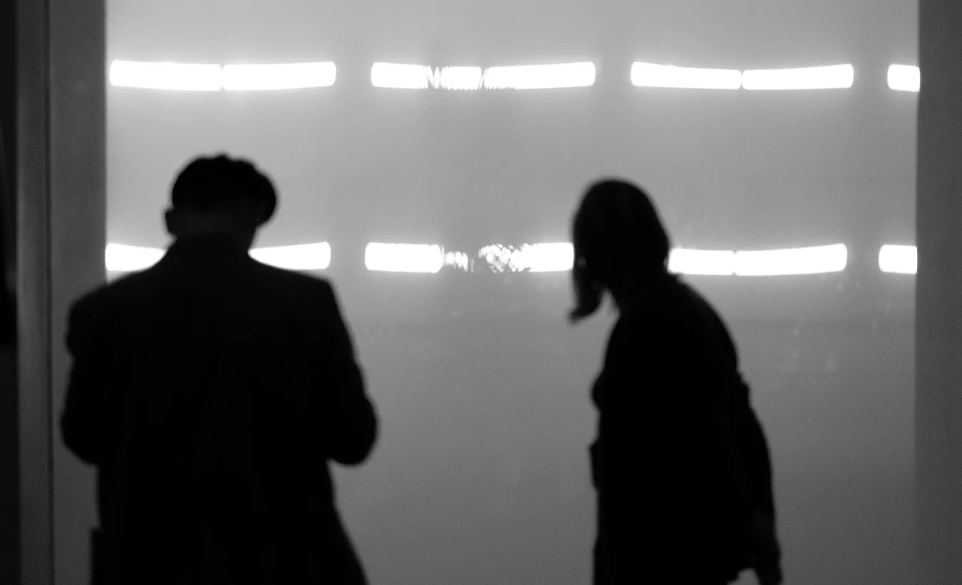 Sometimes you have to look away from the art - shadowplay at MoMA.