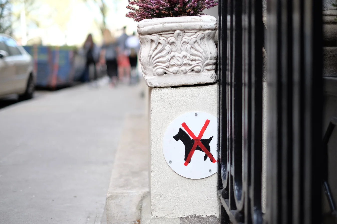 Anti-Scotty Dog signage.