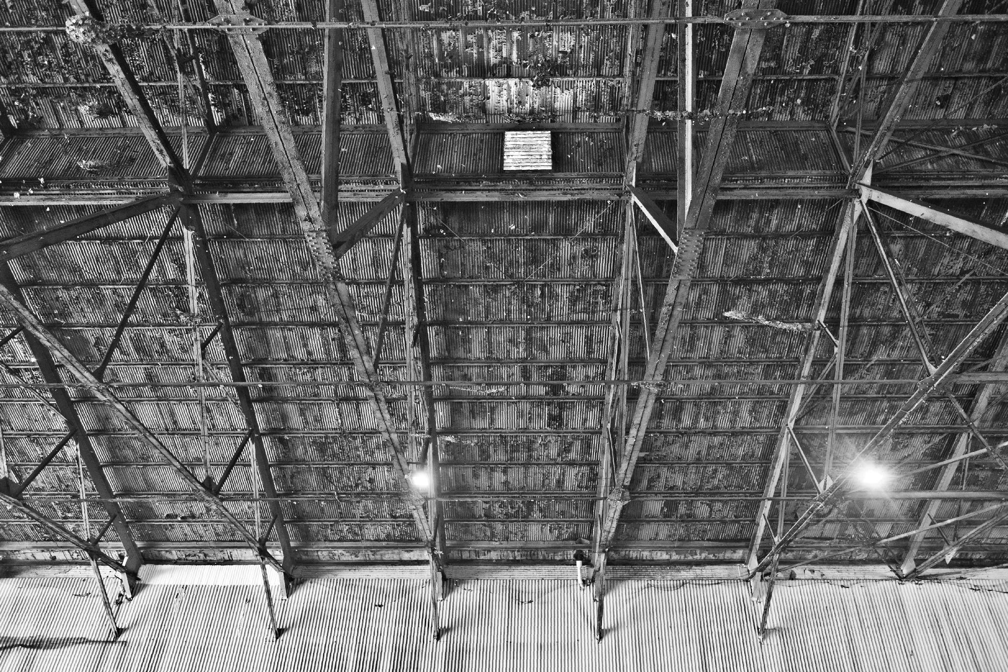 Ceiling Grid