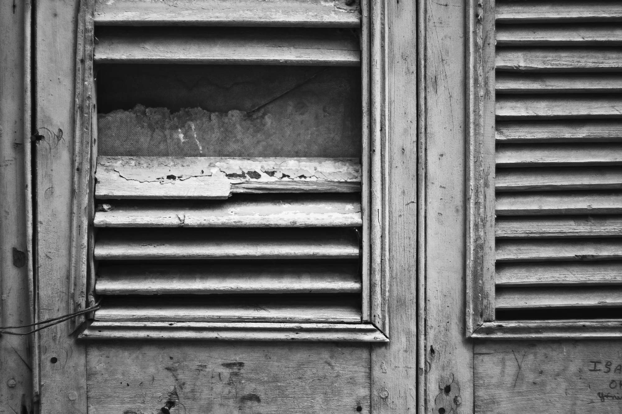 Geometry organizes decay.