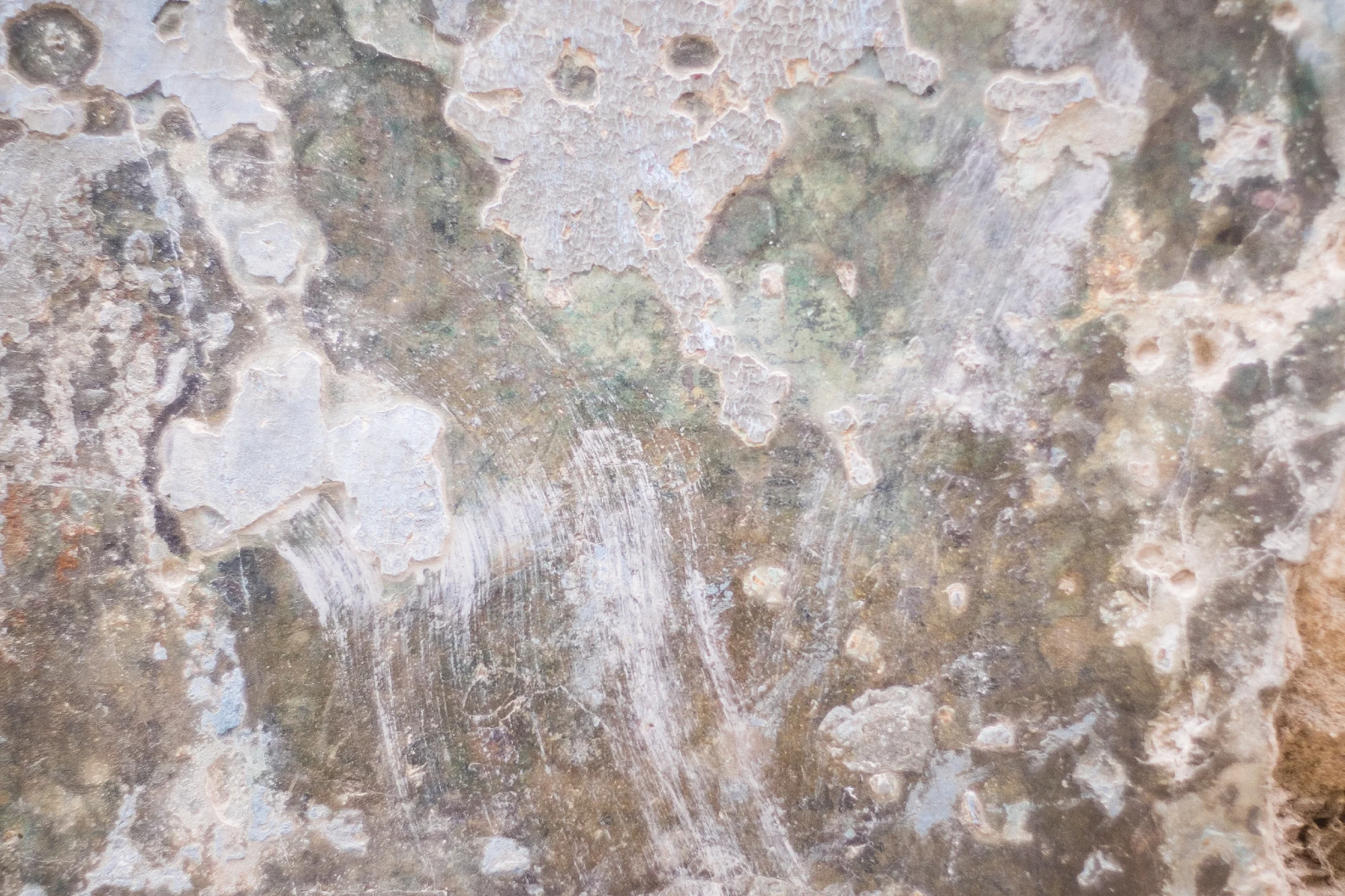 Lush layers of chipped paint and plaster create gorgeous abstractions.