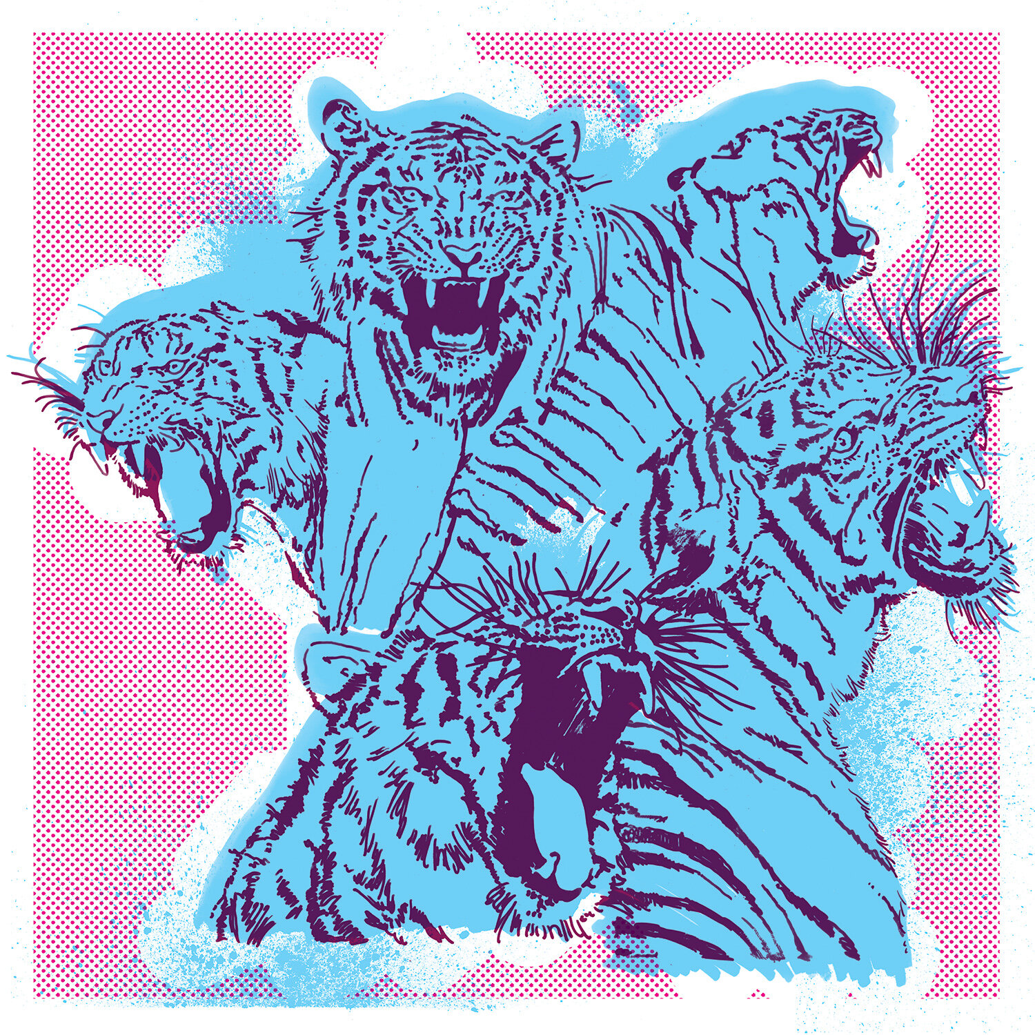 sumatra harimau tiger-01.jpg