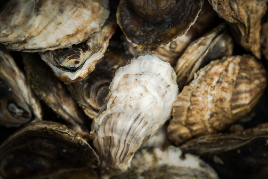  Honeysuckle Oysters. 