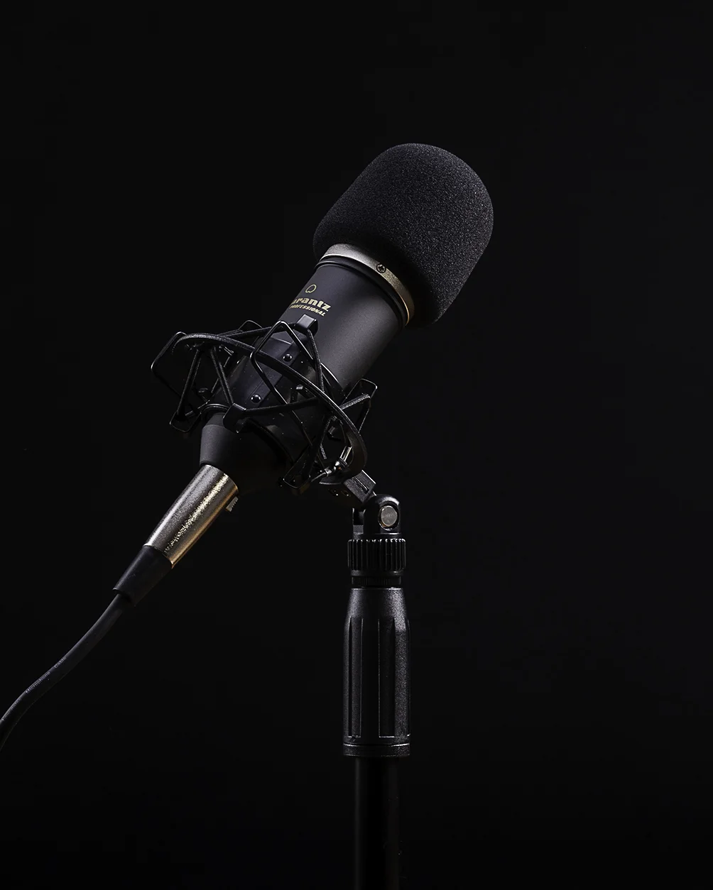 mics and table instagram.jpg