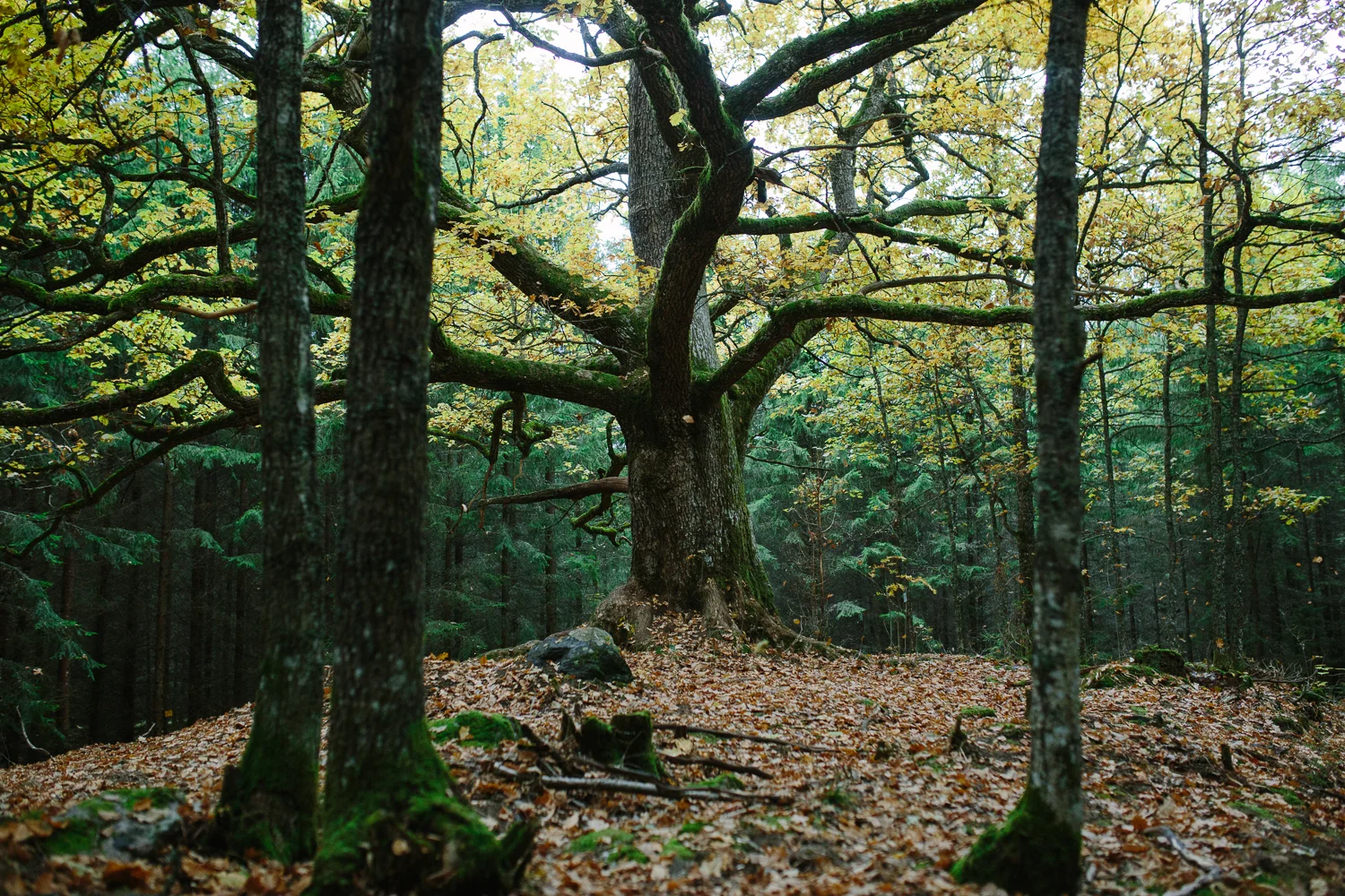 Ajatuksia kuvauspaikan etsimisestä